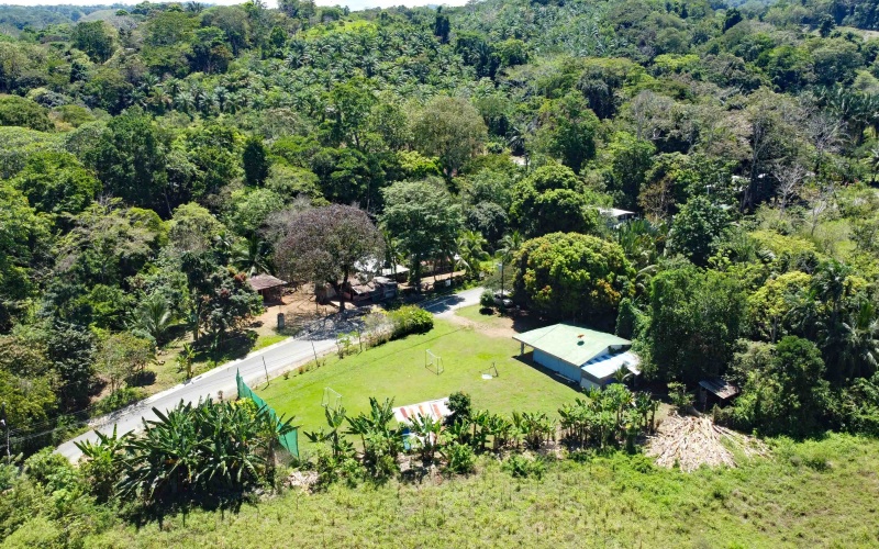 Pilón de Pavones real estate, titled land Pavones, surf property for sale Costa Rica, Pilon surf house, Pavones Realty Pros, real estate Pilon de Pavones, titled lot near Pavones point, fishing Pilon Costa Rica, Golfo Dulce real estate.