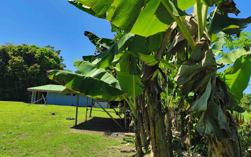 Pilón de Pavones real estate, titled land Pavones, surf property for sale Costa Rica, Pilon surf house, Pavones Realty Pros, real estate Pilon de Pavones, titled lot near Pavones point, fishing Pilon Costa Rica, Golfo Dulce real estate.