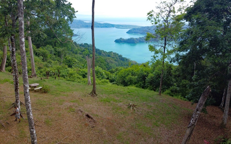 Golfito real estate, Golfo Dulce ocean view, titled land Costa Rica reserve, luxury eco-home Golfito, Costa Rica fishing property, investment land Golfito, titled property forest reserve.