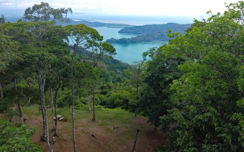 Golfito real estate, Golfo Dulce ocean view, titled land Costa Rica reserve, luxury eco-home Golfito, Costa Rica fishing property, investment land Golfito, titled property forest reserve.