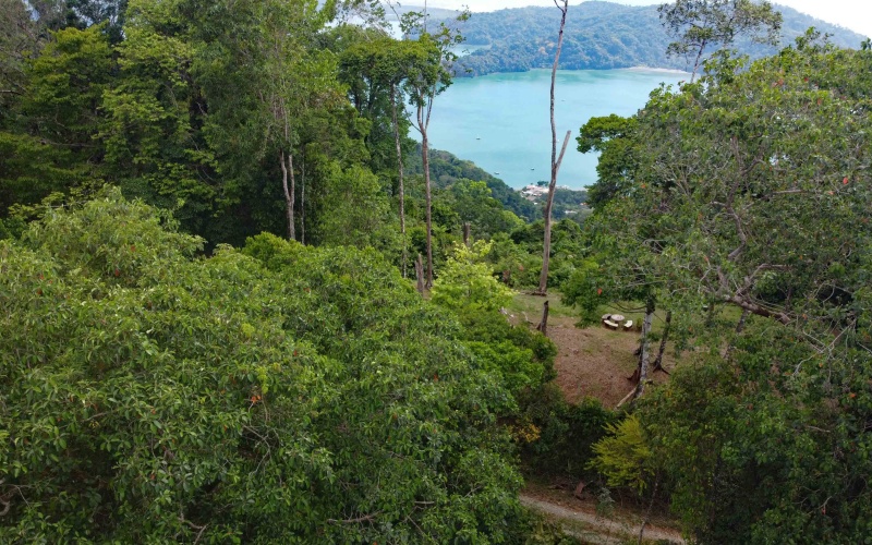 Golfito real estate, Golfo Dulce ocean view, titled land Costa Rica reserve, luxury eco-home Golfito, Costa Rica fishing property, investment land Golfito, titled property forest reserve.