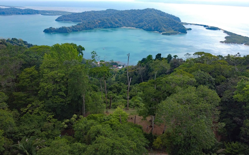 Golfito real estate, Golfo Dulce ocean view, titled land Costa Rica reserve, luxury eco-home Golfito, Costa Rica fishing property, investment land Golfito, titled property forest reserve.