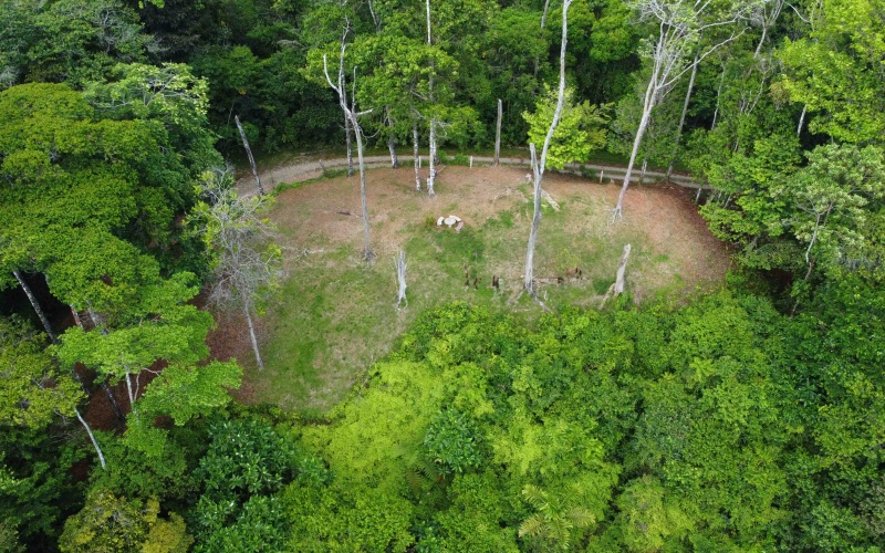 Golfito real estate, Golfo Dulce ocean view, titled land Costa Rica reserve, luxury eco-home Golfito, Costa Rica fishing property, investment land Golfito, titled property forest reserve.
