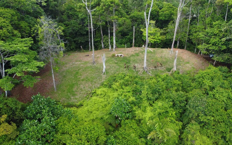 Golfito real estate, Golfo Dulce ocean view, titled land Costa Rica reserve, luxury eco-home Golfito, Costa Rica fishing property, investment land Golfito, titled property forest reserve.