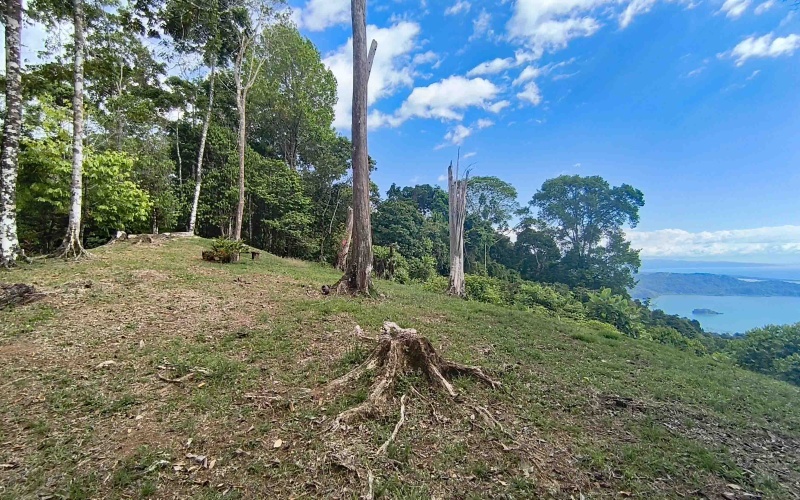 Golfito real estate, Golfo Dulce ocean view, titled land Costa Rica reserve, luxury eco-home Golfito, Costa Rica fishing property, investment land Golfito, titled property forest reserve.
