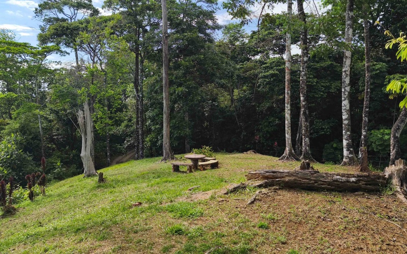 Golfito real estate, Golfo Dulce ocean view, titled land Costa Rica reserve, luxury eco-home Golfito, Costa Rica fishing property, investment land Golfito, titled property forest reserve.