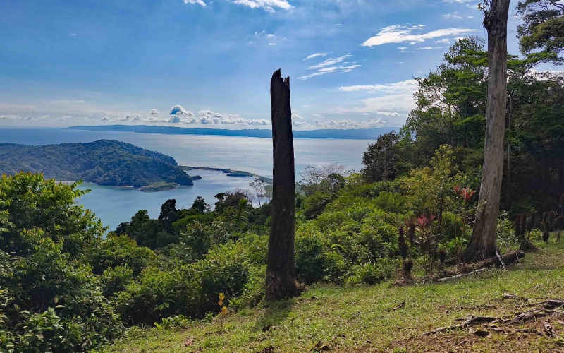 Golfito real estate, Golfo Dulce ocean view, titled land Costa Rica reserve, luxury eco-home Golfito, Costa Rica fishing property, investment land Golfito, titled property forest reserve.