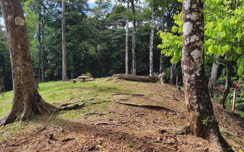 Golfito real estate, Golfo Dulce ocean view, titled land Costa Rica reserve, luxury eco-home Golfito, Costa Rica fishing property, investment land Golfito, titled property forest reserve.