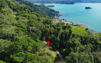 Golfito land for sale, building lot Costa Rica, Golfo Dulce view, real estate Golfito, outside reserve property, 1.97 hectares Golfito