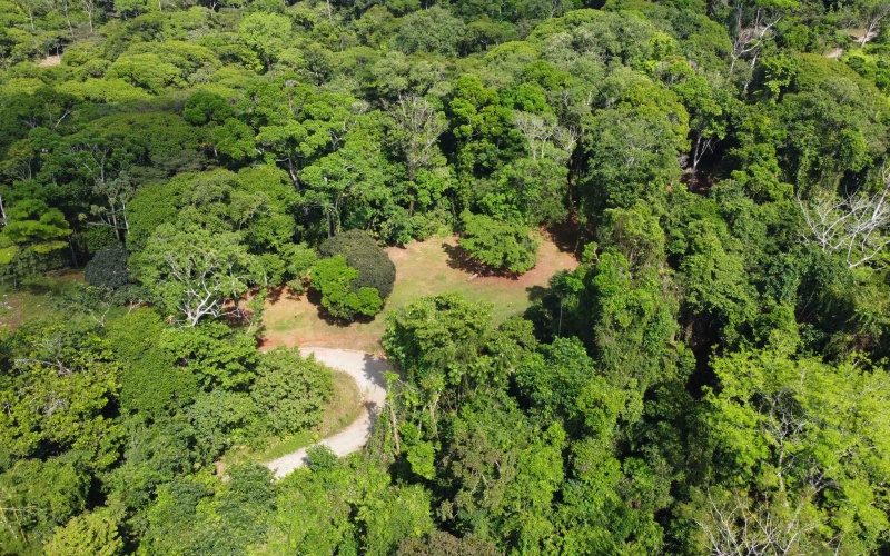 Golfito land for sale, building lot Costa Rica, Golfo Dulce view, real estate Golfito, outside reserve property, 1.97 hectares Golfito
