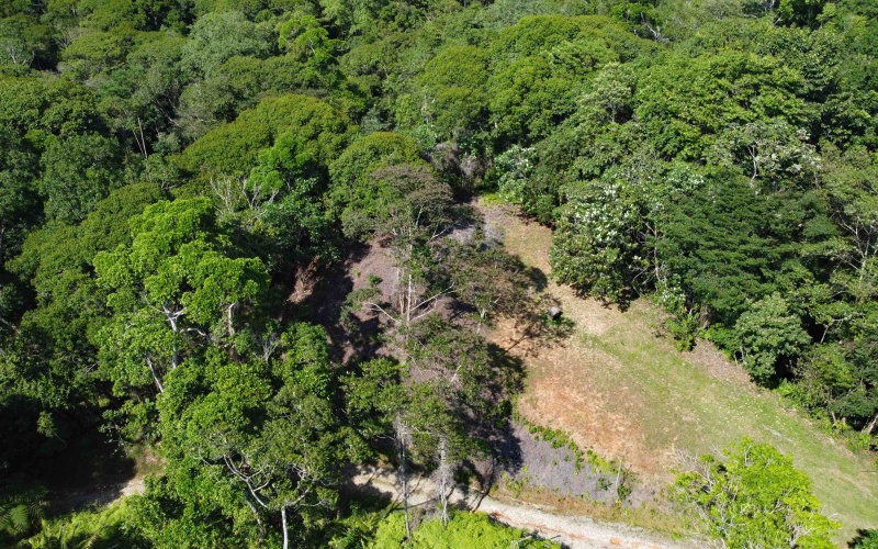 Golfito real estate, Golfo Dulce ocean view land, titled property Costa Rica, luxury development Golfito, off-grid solar land, Cielo Lodge road property, Costa Rica boutique hotel site