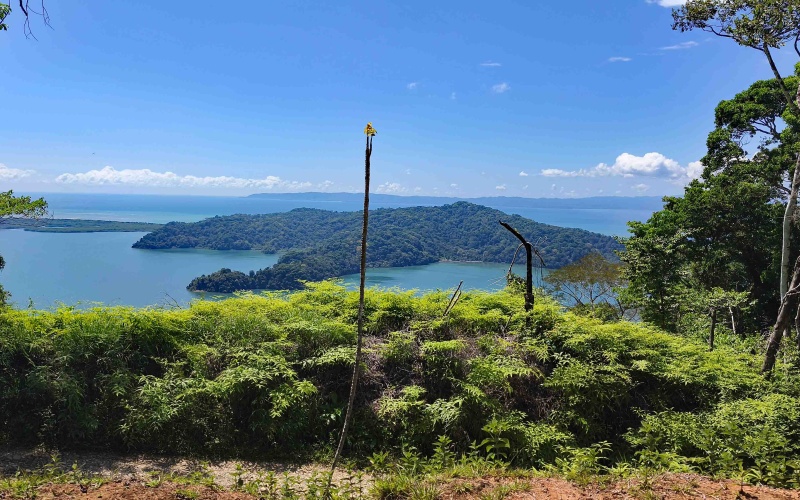 Golfito real estate, Golfo Dulce ocean view land, titled property Costa Rica, luxury development Golfito, off-grid solar land, Cielo Lodge road property, Costa Rica boutique hotel site
