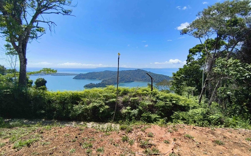 Golfito real estate, Golfo Dulce ocean view land, titled property Costa Rica, luxury development Golfito, off-grid solar land, Cielo Lodge road property, Costa Rica boutique hotel site