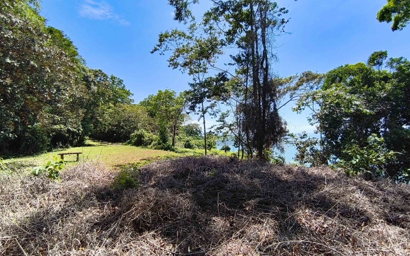 Golfito real estate, Golfo Dulce ocean view land, titled property Costa Rica, luxury development Golfito, off-grid solar land, Cielo Lodge road property, Costa Rica boutique hotel site