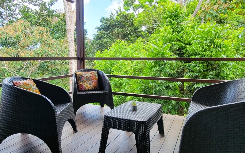 Luxury villa, for rent, cuervito, mountain villa, jungle views, pool, sky deck, amenities