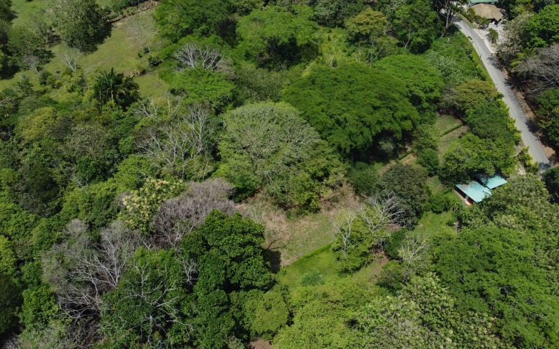 Pilon real estate, Pavones surf property, titled land Costa Rica, Pilon beach walk lot, Costa Rica surf real estate, Pavones property for sale, Southern Zone titled land, Pilon Point surf house, residential lot Costa Rica