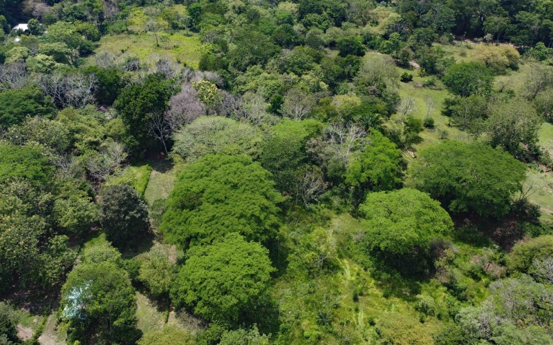 Pilon real estate, Pavones surf property, titled land Costa Rica, Pilon beach walk lot, Costa Rica surf real estate, Pavones property for sale, Southern Zone titled land, Pilon Point surf house, residential lot Costa Rica