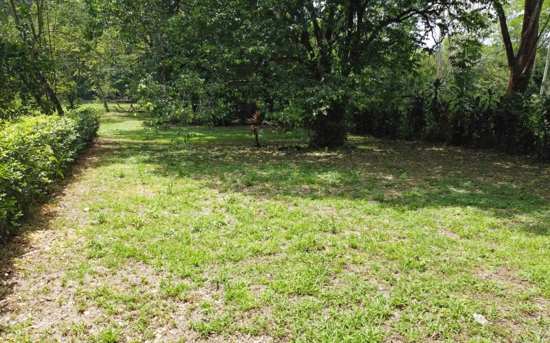 Pilon real estate, Pavones surf property, titled land Costa Rica, Pilon beach walk lot, Costa Rica surf real estate, Pavones property for sale, Southern Zone titled land, Pilon Point surf house, residential lot Costa Rica