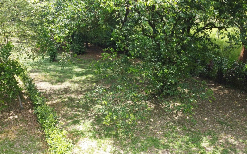 Pilon real estate, Pavones surf property, titled land Costa Rica, Pilon beach walk lot, Costa Rica surf real estate, Pavones property for sale, Southern Zone titled land, Pilon Point surf house, residential lot Costa Rica