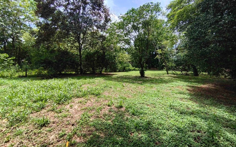 Pilon real estate, Pavones surf property, titled land Costa Rica, Pilon beach walk lot, Costa Rica surf real estate, Pavones property for sale, Southern Zone titled land, Pilon Point surf house, residential lot Costa Rica