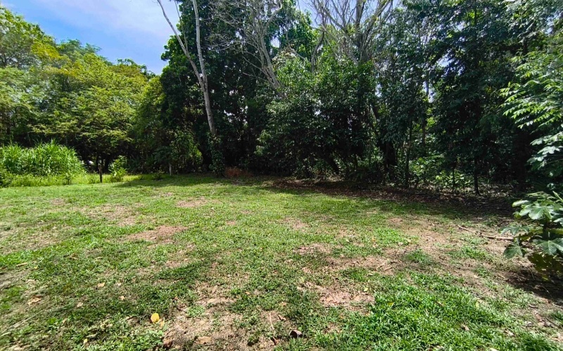 Pilon real estate, Pavones surf property, titled land Costa Rica, Pilon beach walk lot, Costa Rica surf real estate, Pavones property for sale, Southern Zone titled land, Pilon Point surf house, residential lot Costa Rica