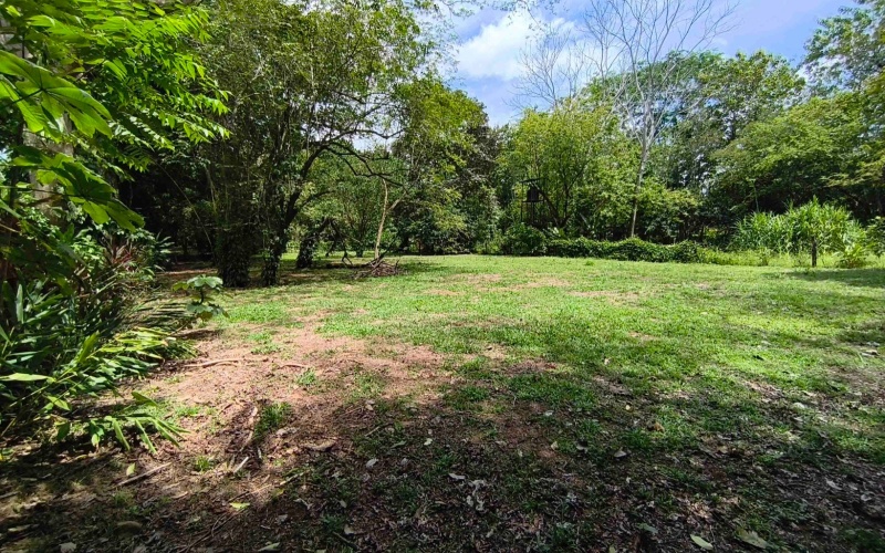Pilon real estate, Pavones surf property, titled land Costa Rica, Pilon beach walk lot, Costa Rica surf real estate, Pavones property for sale, Southern Zone titled land, Pilon Point surf house, residential lot Costa Rica