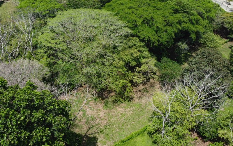 Pilon real estate, Pavones surf property, titled land Costa Rica, Pilon beach walk lot, Costa Rica surf real estate, Pavones property for sale, Southern Zone titled land, Pilon Point surf house, residential lot Costa Rica