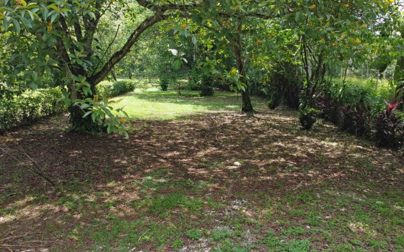 Pilon real estate, Pavones surf property, titled land Costa Rica, Pilon beach walk lot, Costa Rica surf real estate, Pavones property for sale, Southern Zone titled land, Pilon Point surf house, residential lot Costa Rica