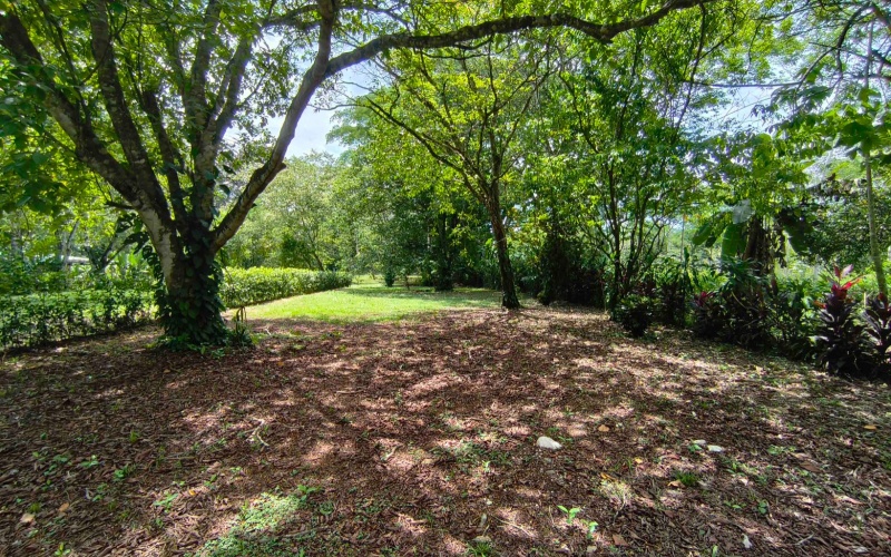 Pilon real estate, Pavones surf property, titled land Costa Rica, Pilon beach walk lot, Costa Rica surf real estate, Pavones property for sale, Southern Zone titled land, Pilon Point surf house, residential lot Costa Rica