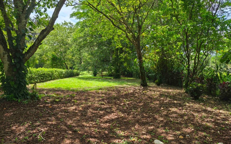 Pilon real estate, Pavones surf property, titled land Costa Rica, Pilon beach walk lot, Costa Rica surf real estate, Pavones property for sale, Southern Zone titled land, Pilon Point surf house, residential lot Costa Rica