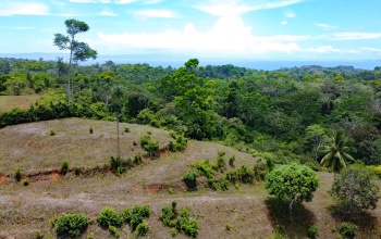 Pavones real estate, Cuervito ocean view land, gated community Pavones, Pilon surf property, Costa Rica Southern Zone land for sale, titled land Pavones, mountain view lot Costa Rica.