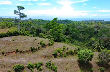 Pavones real estate, Cuervito ocean view land, gated community Pavones, Pilon surf property, Costa Rica Southern Zone land for sale, titled land Pavones, mountain view lot Costa Rica.