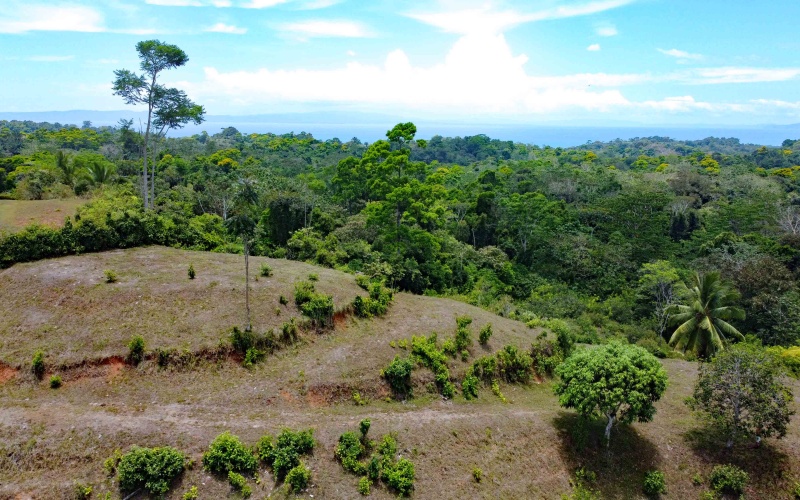 Pavones real estate, Cuervito ocean view land, gated community Pavones, Pilon surf property, Costa Rica Southern Zone land for sale, titled land Pavones, mountain view lot Costa Rica.