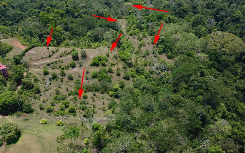Pavones real estate, Cuervito ocean view land, gated community Pavones, Pilon surf property, Costa Rica Southern Zone land for sale, titled land Pavones, mountain view lot Costa Rica.