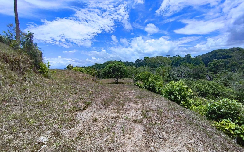 Pavones real estate, Cuervito ocean view land, gated community Pavones, Pilon surf property, Costa Rica Southern Zone land for sale, titled land Pavones, mountain view lot Costa Rica.