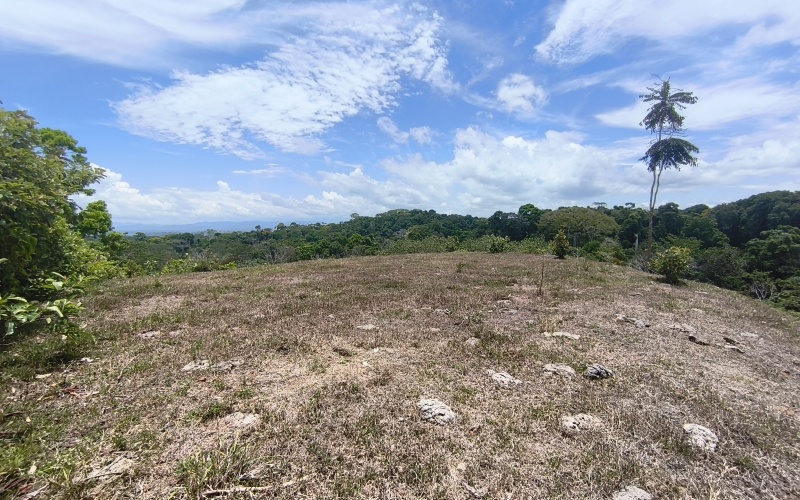 Pavones real estate, Cuervito ocean view land, gated community Pavones, Pilon surf property, Costa Rica Southern Zone land for sale, titled land Pavones, mountain view lot Costa Rica.