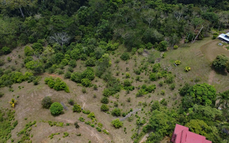 Cuervito real estate, Pavones riverfront land, gated community Costa Rica, large lots Pavones, Pilon surf property, mountain view land Pavones, Southern Zone real estate.