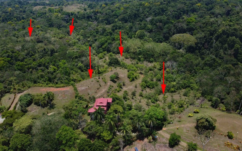 Cuervito real estate, Pavones riverfront land, gated community Costa Rica, large lots Pavones, Pilon surf property, mountain view land Pavones, Southern Zone real estate.