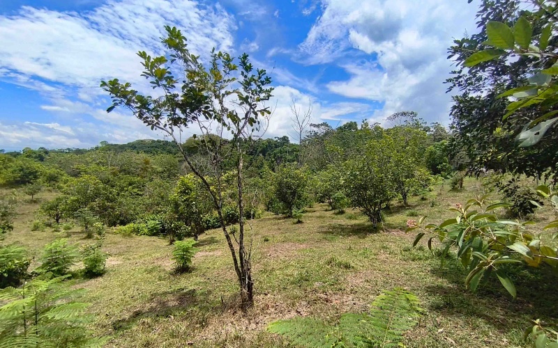 Cuervito real estate, Pavones riverfront land, gated community Costa Rica, large lots Pavones, Pilon surf property, mountain view land Pavones, Southern Zone real estate.