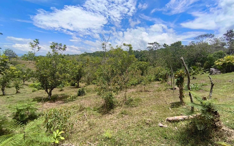 Cuervito real estate, Pavones riverfront land, gated community Costa Rica, large lots Pavones, Pilon surf property, mountain view land Pavones, Southern Zone real estate.