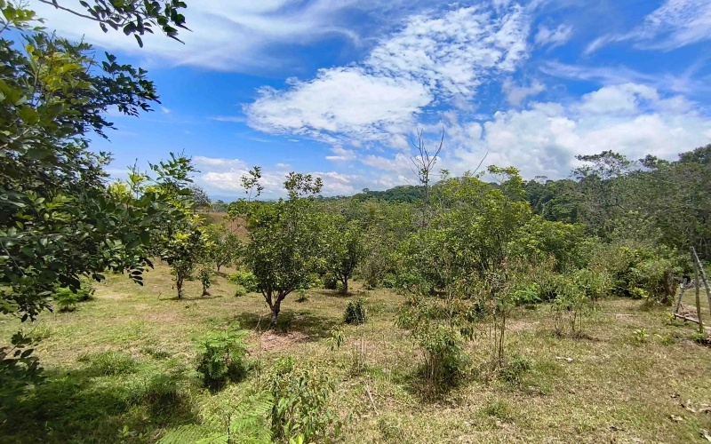 Cuervito real estate, Pavones riverfront land, gated community Costa Rica, large lots Pavones, Pilon surf property, mountain view land Pavones, Southern Zone real estate.