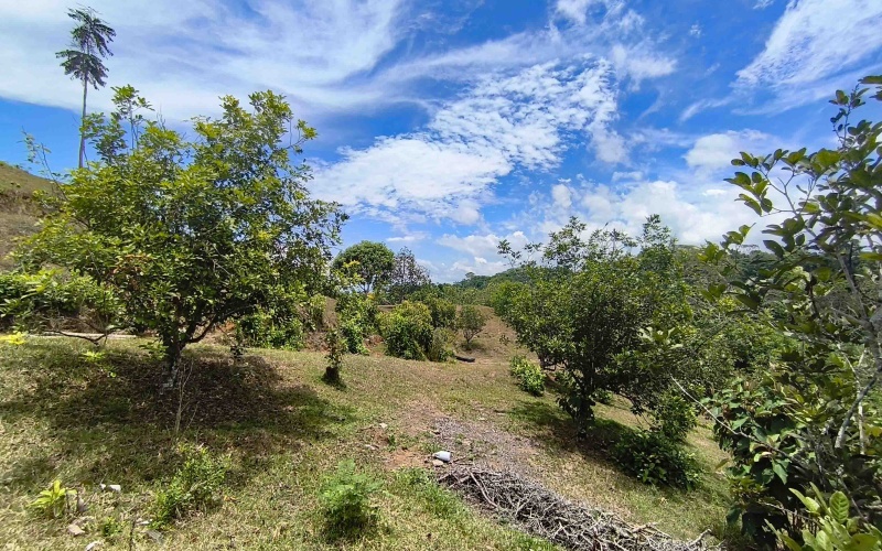 Cuervito real estate, Pavones riverfront land, gated community Costa Rica, large lots Pavones, Pilon surf property, mountain view land Pavones, Southern Zone real estate.