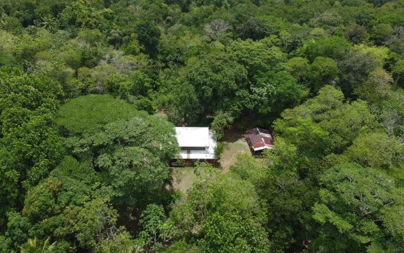 Playa Zancudo real estate, exotic hardwood home Costa Rica, 3 bedroom home Zancudo, surf property Costa Rica, Pavones real estate, Pilon surfing property, investment property Costa Rica, jungle sanctuary, edible landscape home, concrete block home Zancudo.