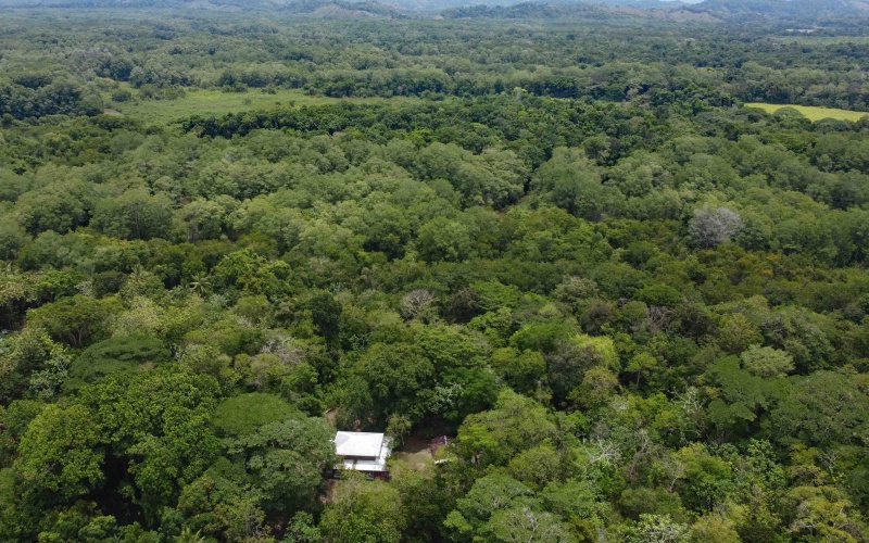 Playa Zancudo real estate, exotic hardwood home Costa Rica, 3 bedroom home Zancudo, surf property Costa Rica, Pavones real estate, Pilon surfing property, investment property Costa Rica, jungle sanctuary, edible landscape home, concrete block home Zancudo.