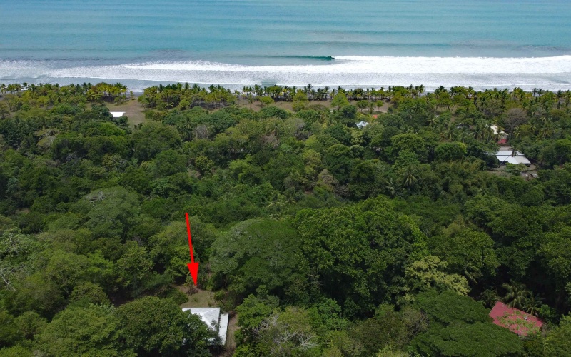 Playa Zancudo real estate, exotic hardwood home Costa Rica, 3 bedroom home Zancudo, surf property Costa Rica, Pavones real estate, Pilon surfing property, investment property Costa Rica, jungle sanctuary, edible landscape home, concrete block home Zancudo.