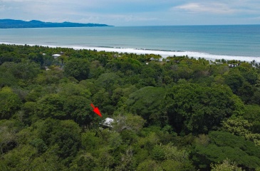 Playa Zancudo real estate, exotic hardwood home Costa Rica, 3 bedroom home Zancudo, surf property Costa Rica, Pavones real estate, Pilon surfing property, investment property Costa Rica, jungle sanctuary, edible landscape home, concrete block home Zancudo. Playa Zancudo real estate, exotic hardwood home Costa Rica, 3 bedroom home Zancudo, surf property Costa Rica, Pavones real estate, Pilon surfing property, investment property Costa Rica, jungle sanctuary, edible landscape home, concrete block home Zancudo.