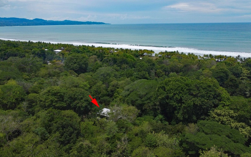 Playa Zancudo real estate, exotic hardwood home Costa Rica, 3 bedroom home Zancudo, surf property Costa Rica, Pavones real estate, Pilon surfing property, investment property Costa Rica, jungle sanctuary, edible landscape home, concrete block home Zancudo.