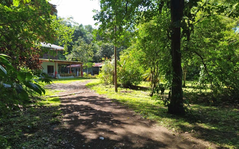 Playa Zancudo real estate, exotic hardwood home Costa Rica, 3 bedroom home Zancudo, surf property Costa Rica, Pavones real estate, Pilon surfing property, investment property Costa Rica, jungle sanctuary, edible landscape home, concrete block home Zancudo.