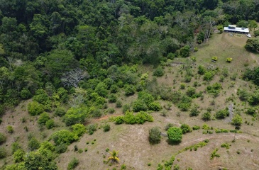 Pavones real estate, Cuervito ocean view land, riverfront property Costa Rica, gated community Pavones, Lot 3 Cuervito, land for sale Pavones, ocean view land Costa Rica Pavones real estate, Cuervito ocean view land, riverfront property Costa Rica, gated community Pavones, Lot 3 Cuervito, land for sale Pavones, ocean view land Costa Rica