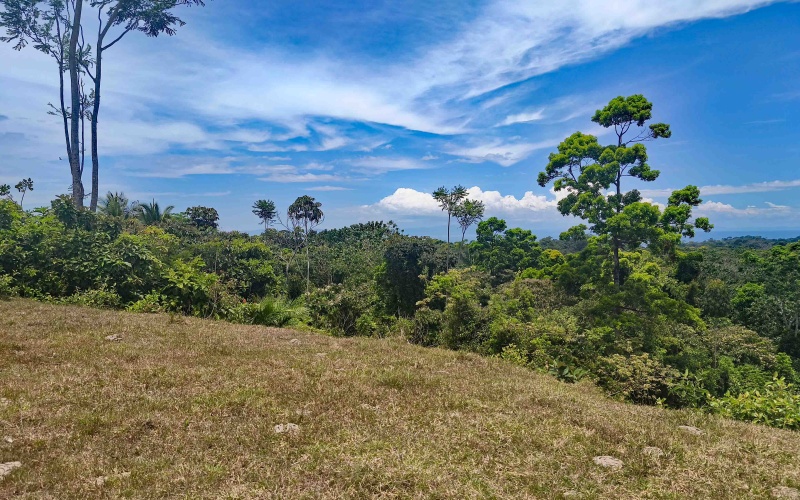 Pavones real estate, Cuervito ocean view land, riverfront property Costa Rica, gated community Pavones, Lot 3 Cuervito, land for sale Pavones, ocean view land Costa Rica